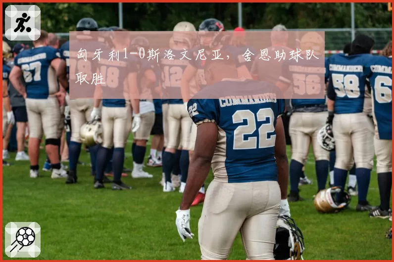 匈牙利1-0斯洛文尼亚,舍恩助球队取胜