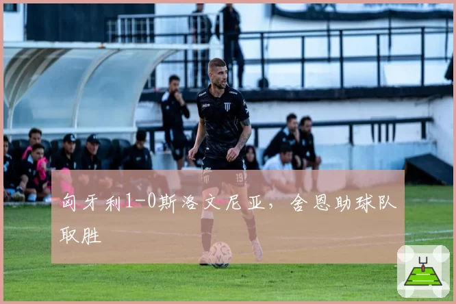 匈牙利1-0斯洛文尼亚,舍恩助球队取胜